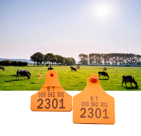 What should be paid attention to in daily use of animal ear tags?